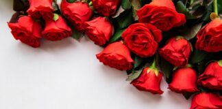 Вітаємо з ювілеєм Дзяк Людмилу Антонівну