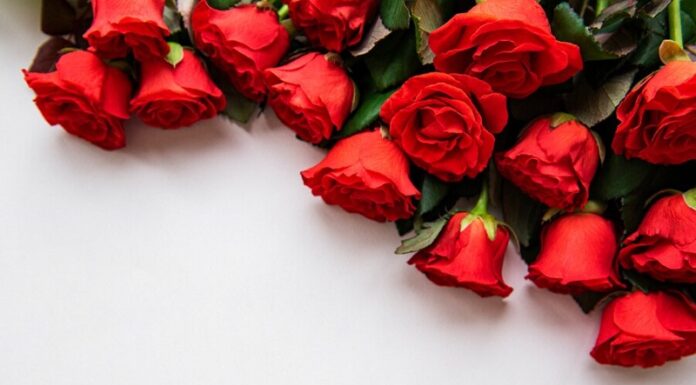 Вітаємо з ювілеєм Дзяк Людмилу Антонівну