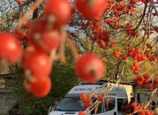 Лікарі-волонтери НАМН України їздять містами і селами Київщини і безкоштовно приймають пацієнтів