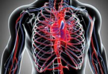 Що таке КТ-аортографія і кому її призначають?