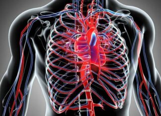 Що таке КТ-аортографія і кому її призначають?