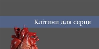 Клітини для серця