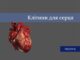 Клітини для серця