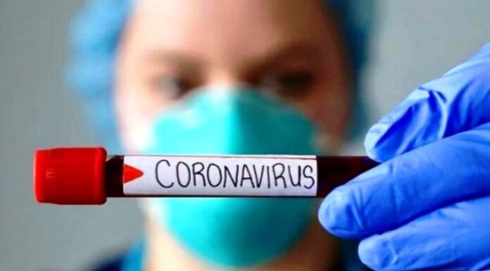 РОЗВИТОК ЕПІДЕМІЧНОГО ПРОЦЕСУ COVID-19 В УКРАЇНІ. DEVELOPMENT OF THE EPIDEMIC PROCESS OF COVID-19 IN UKRAINE