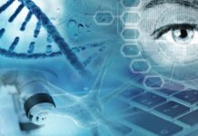 Експериментальні дослідження з вивчення імуномодулюючої дії плазмологена