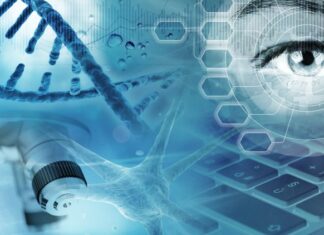 Експериментальні дослідження з вивчення імуномодулюючої дії плазмологена