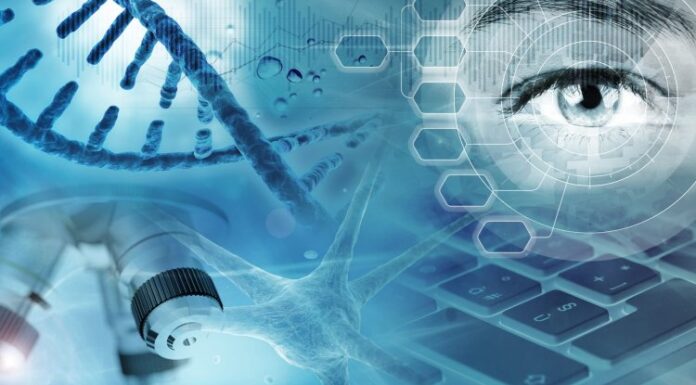 Експериментальні дослідження з вивчення імуномодулюючої дії плазмологена