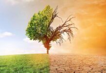 Аналіз сучасної вітчизняної бази щодо визначення канцерогенної небезпеки ризику забруднення навколишнього середовища для населення