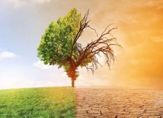 Аналіз сучасної вітчизняної бази щодо визначення канцерогенної небезпеки ризику забруднення навколишнього середовища для населення