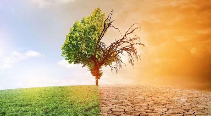 Аналіз сучасної вітчизняної бази щодо визначення канцерогенної небезпеки ризику забруднення навколишнього середовища для населення