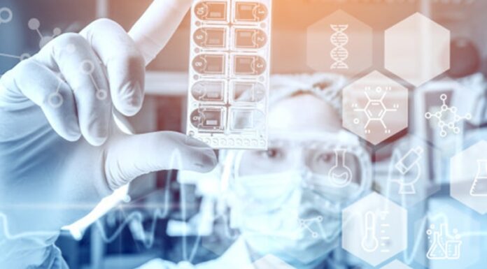 Дослідження хронології викидів радіовуглецю за час роботи Рівненської та Чорнобильської АЕС