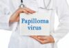 Вірус папіломи людини у полі зору гінеколога