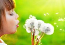 Щоб дихати легко: як і заради чого працює унікальний Алергологічний центр ІПАГ