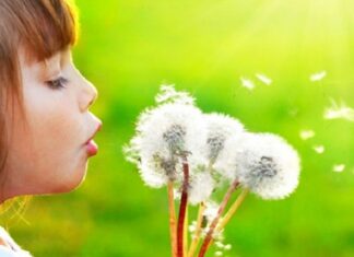 Щоб дихати легко: як і заради чого працює унікальний Алергологічний центр ІПАГ