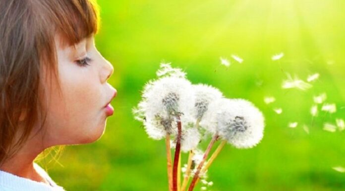 Щоб дихати легко: як і заради чого працює унікальний Алергологічний центр ІПАГ