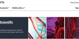 Опубліковано статтю у виданні Scientific Report, що входить до видавництва Nature | The Springer Nature