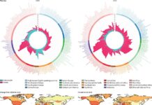 Наукові дослідження з фізичного розвитку дітей в журналі світового рівня The Lancet