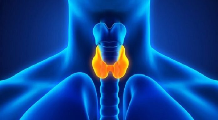 Як зберегти здоров’я щитоподібної залози?