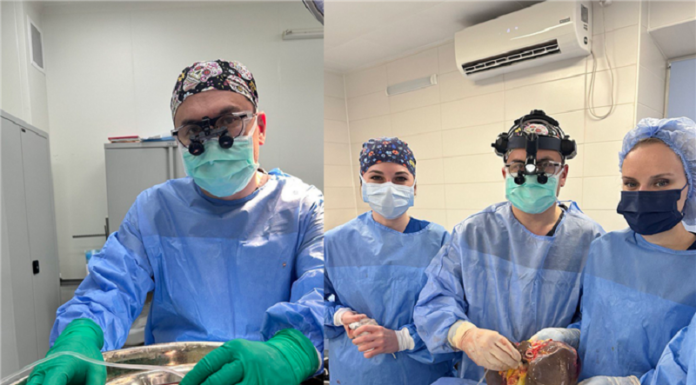 Трансплантації тривають