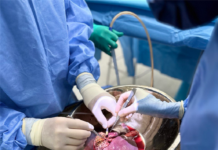 World Transplant Day