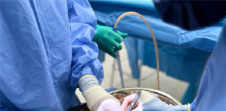 World Transplant Day