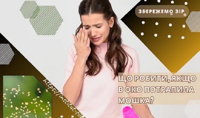 Що робити, якщо в око потрапила мошка