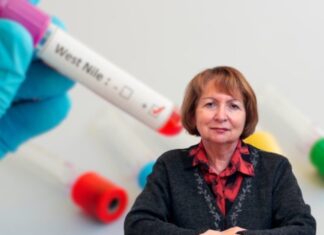 Про симптоми та профілактику гарячки Західного Нілу Суспільному розповіла виконуюча обов`язки директорки Інституту епідеміології та інфекційних хвороб ім. Л.В. Громашевського НАМН України, професорка Вікторія Задорожна