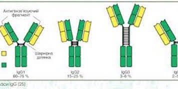 ДІАГНОСТИЧНЕ ЗНАЧЕННЯ IgG4 ПРИ ЗАПАЛЬНИХ ЗАХВОРЮВАННЯХ КИШЕЧНИКА