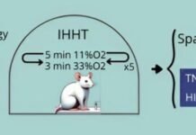 Тривають активні дослідження механізмів розвитку хвороби Альцгеймера