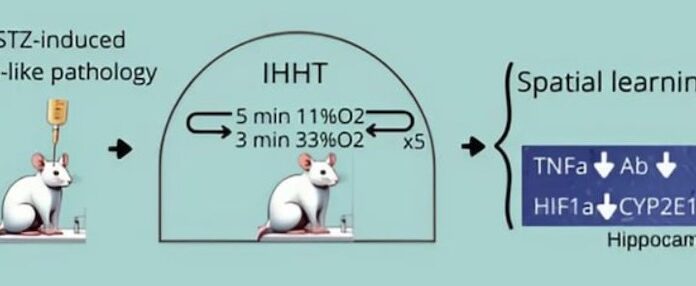 Тривають активні дослідження механізмів розвитку хвороби Альцгеймера