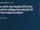 Наукова публікація «Добове надходження 137Cs з продуктами харчування у відібраній когорті жителів села Народичі через 30 років після Чорнобильської катастрофи»