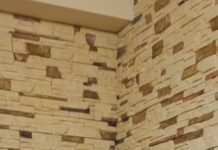 Президія НАН України присудила премію імені Д.К.Заболотного Вікторії ЗАДОРОЖНІЙ