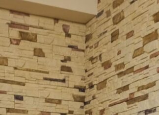 Президія НАН України присудила премію імені Д.К.Заболотного Вікторії ЗАДОРОЖНІЙ