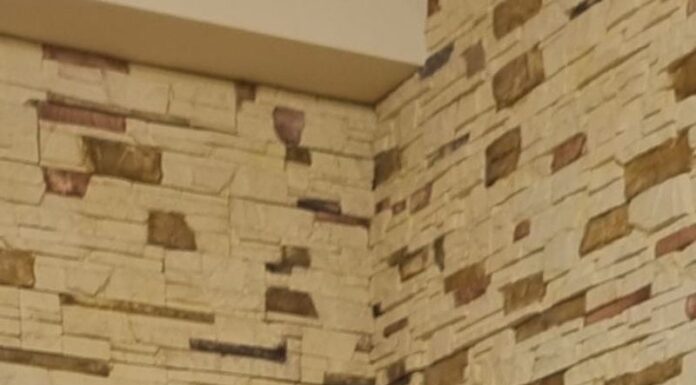 Президія НАН України присудила премію імені Д.К.Заболотного Вікторії ЗАДОРОЖНІЙ