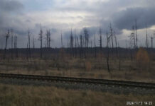 Наукова публікація «Щодо можливого впливу лісових пожеж на радіоактивне забруднення підземних вод Чорнобильської зони відчуження»