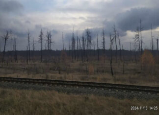 Наукова публікація «Щодо можливого впливу лісових пожеж на радіоактивне забруднення підземних вод Чорнобильської зони відчуження»