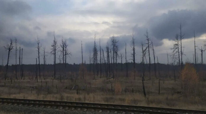 Наукова публікація «Щодо можливого впливу лісових пожеж на радіоактивне забруднення підземних вод Чорнобильської зони відчуження»