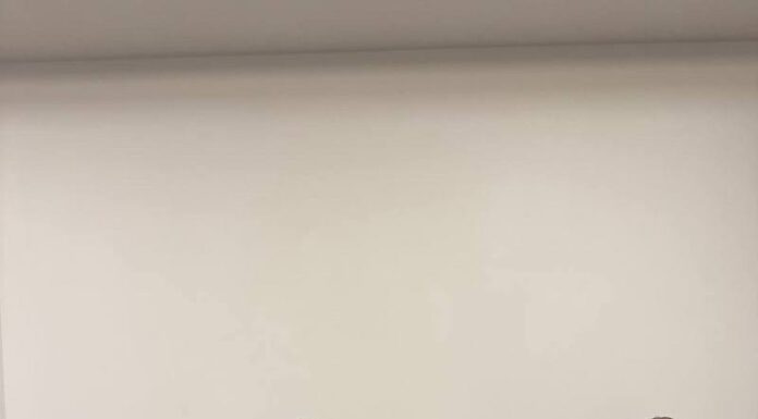 Науково-практична конференція «Стоматологічна допомога в умовах військового стану. Наука і практика пліч опліч»