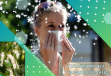 ТОПОЛИНИЙ ПУХ ТА ЗДОРОВ’Я ОЧЕЙ: ЯК ЗАХИСТИТИСЯ?