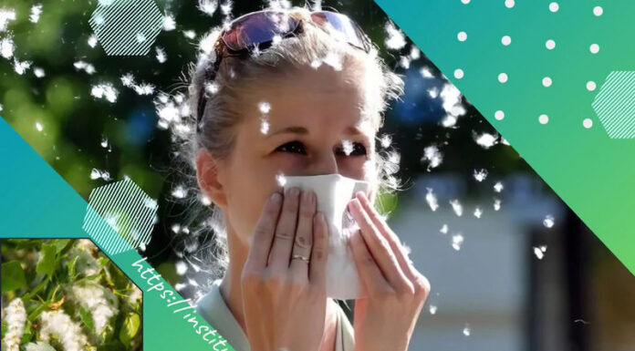 ТОПОЛИНИЙ ПУХ ТА ЗДОРОВ’Я ОЧЕЙ: ЯК ЗАХИСТИТИСЯ?