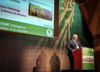 Фахівці ДУ «Інститут патології хребта та суглобів ім. проф. М.І. Ситенка НАМН України» на EFORT 2025: нові горизонти в ортопедії та міжнародній співпраці