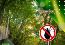 ОБЕРЕЖНО, КЛІЩІ! АБО ЯК ВПЛИВАЄ ХВОРОБА ЛАЙМА НА ОЧІ?