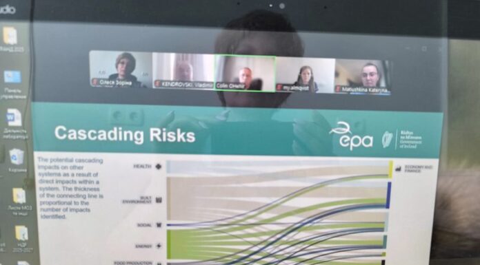 Зустріч зі спеціалістами Шведського агентства з охорони здоров’я та Департаменту охорони здоров’я Уряду Ірландії