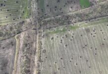 Щодо питання фонового рівня забруднення ґрунтів важкими металами для визначення впливу воєнних дій