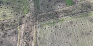 Щодо питання фонового рівня забруднення ґрунтів важкими металами для визначення впливу воєнних дій