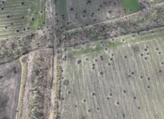 Щодо питання фонового рівня забруднення ґрунтів важкими металами для визначення впливу воєнних дій