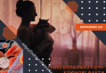 ТОКСОПЛАЗМОЗ І ОЧІ: КЛЮЧОВІ ФАКТИ