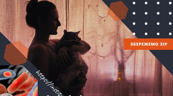 ТОКСОПЛАЗМОЗ І ОЧІ: КЛЮЧОВІ ФАКТИ