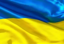 Вітання Президента НАМН України з нагоди обрання Бережної Тетяни Василівни на посаду Віце-прем’єр-міністра України з питань гуманітарної політики — Міністра культури України