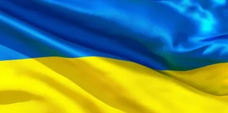 Вітання Президента НАМН України з нагоди обрання Бережної Тетяни Василівни на посаду Віце-прем’єр-міністра України з питань гуманітарної політики — Міністра культури України